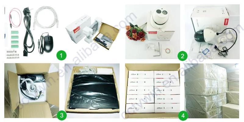 Full Color Night Vision Surveillance Camera Ipc-Hdbw4239r-Ase 2MP 1080P Full HD Starlight Poe Dahua IP CCTV Security Camera Suppliers