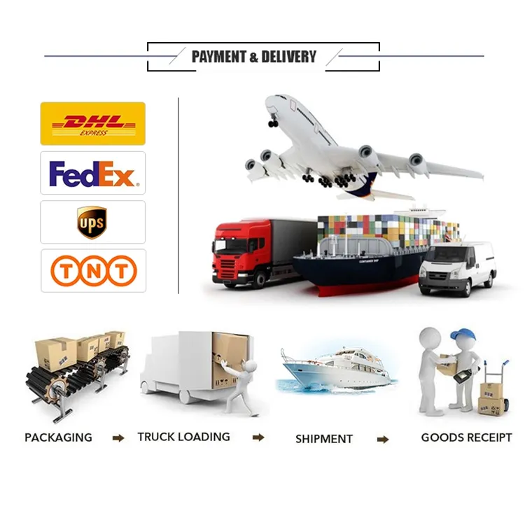 Professional IP PTZ Camera Phone Push Alarm Motion Detection Outdoor Waterproof IP66 Surveillance CCTV Security WiFi IP Camera